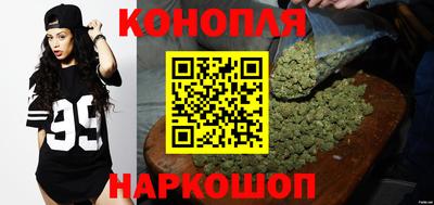 гашиш Кингисепп